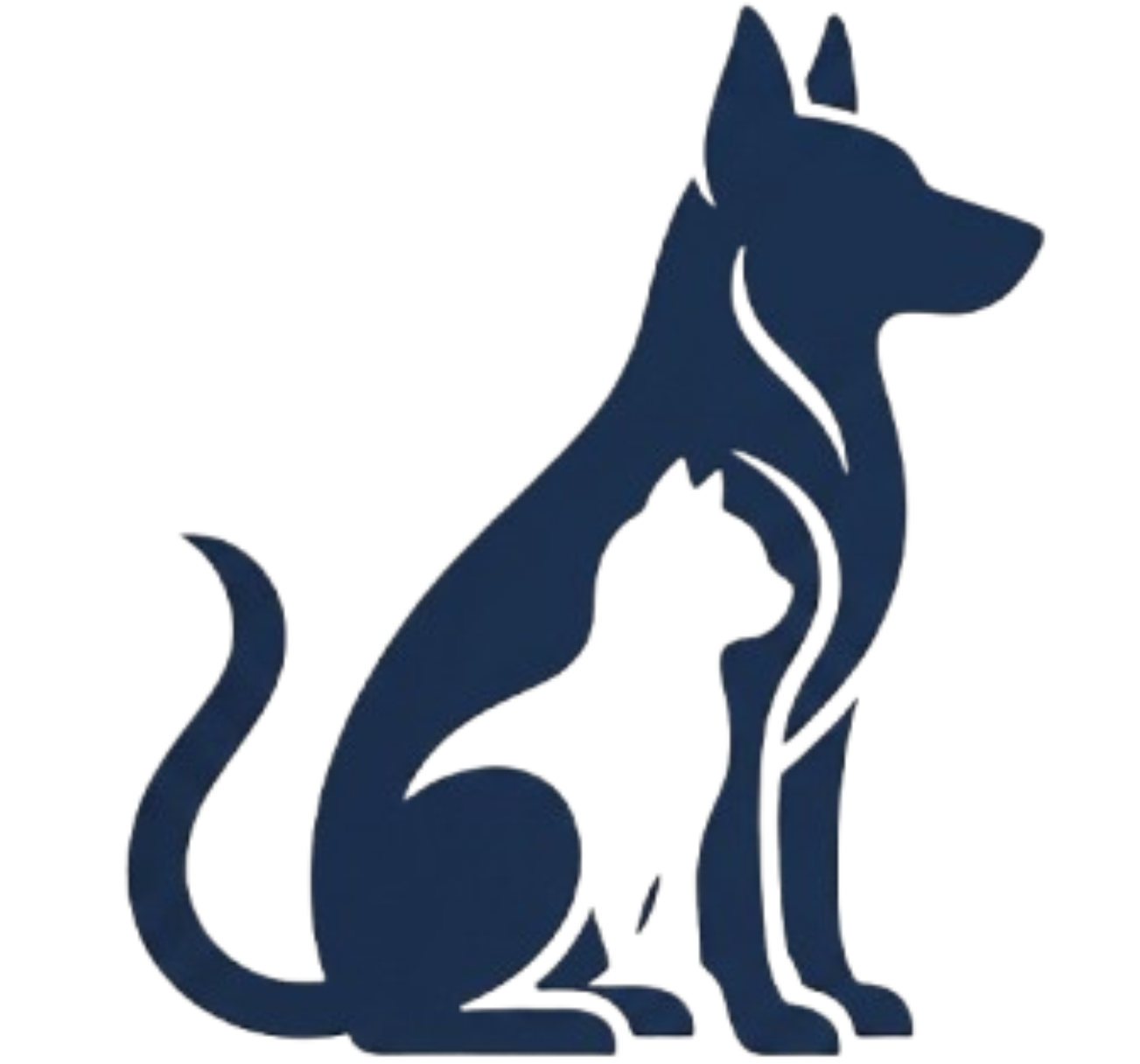 cão e gato