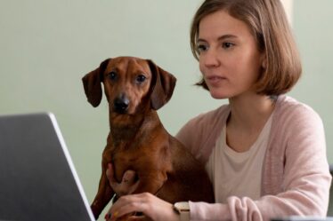 Desafios da Comunicação no Mercado Veterinário