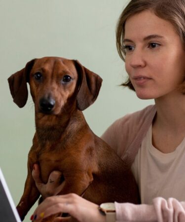 Desafios da Comunicação no Mercado Veterinário