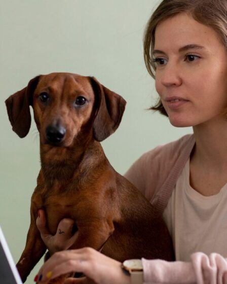 Desafios da Comunicação no Mercado Veterinário