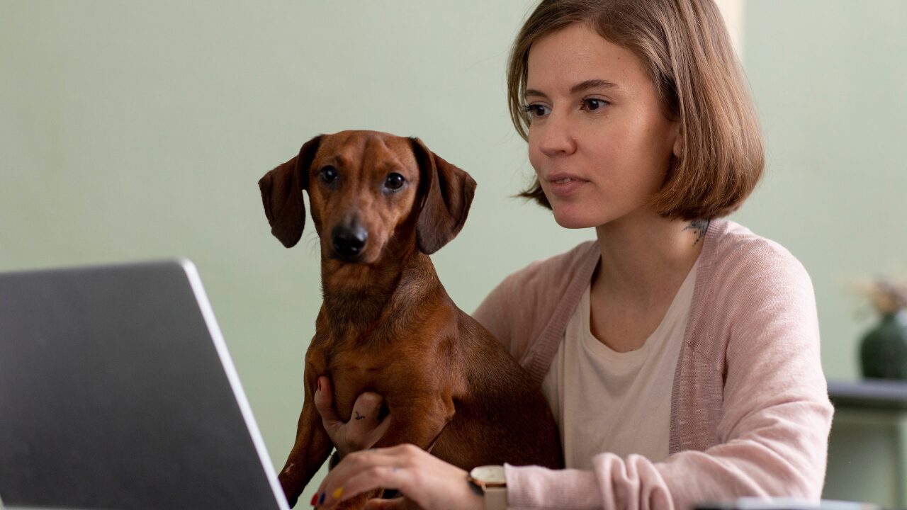 Desafios da Comunicação no Mercado Veterinário