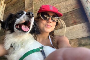 O Cachorro Amputado Inspira Adoção e Superação