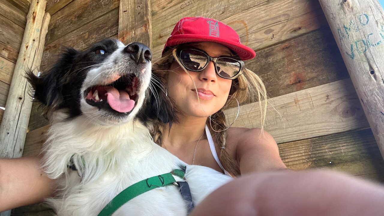 O Cachorro Amputado Inspira Adoção e Superação