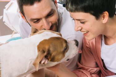 Famílias dos EUA estão priorizando Filhos de Quatro Patas