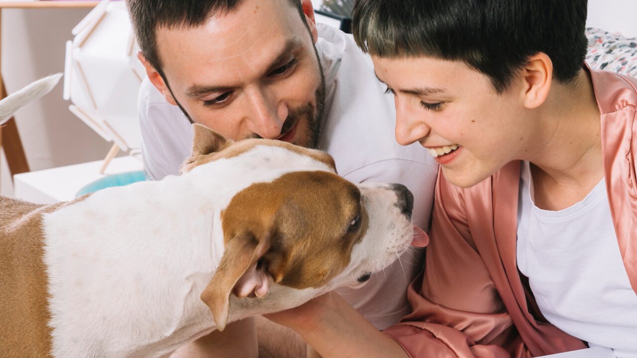 Famílias dos EUA estão priorizando Filhos de Quatro Patas