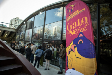 GoldeN GatoFest: Festival Temático e Gratuito para Amantes de Gatos