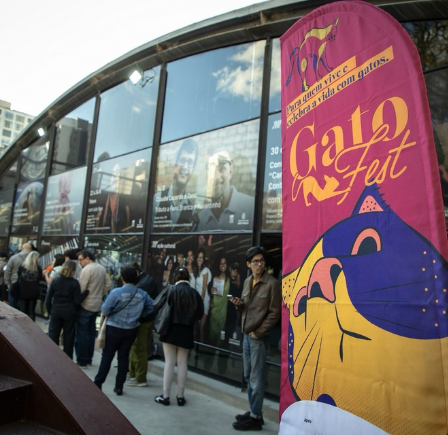 GoldeN GatoFest: Festival Temático e Gratuito para Amantes de Gatos