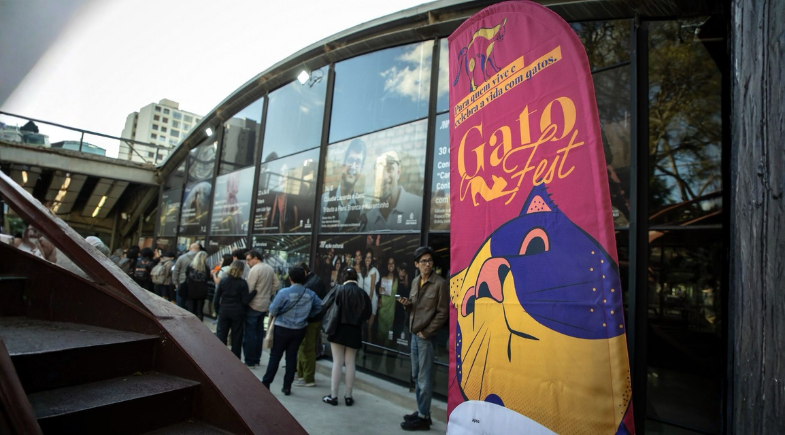 GoldeN GatoFest: Festival Temático e Gratuito para Amantes de Gatos