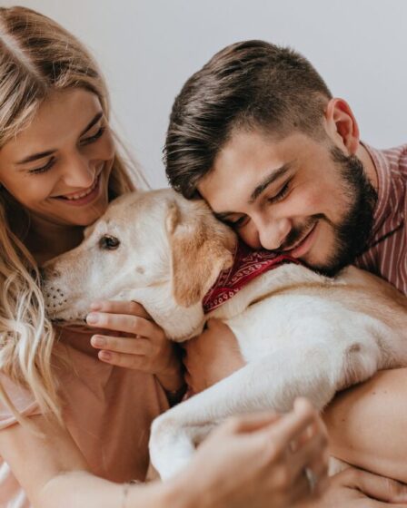 O Futuro da Relação entre Humanos e Pets