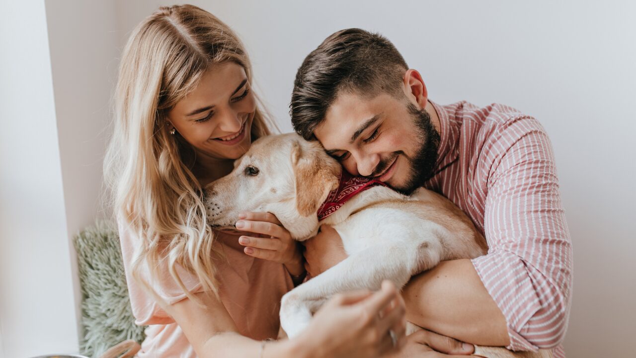 O Futuro da Relação entre Humanos e Pets