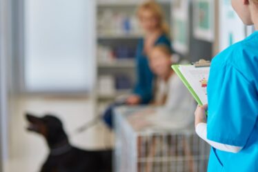 Proteção Jurídica na Medicina Veterinária