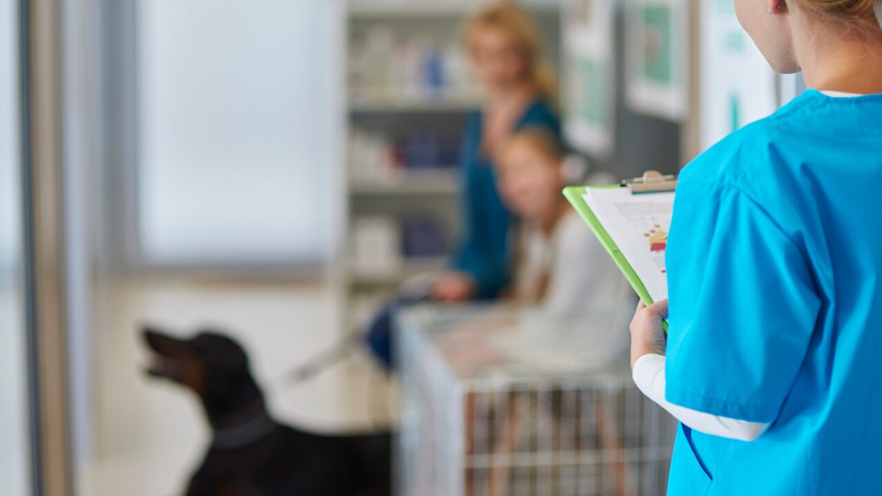 Proteção Jurídica na Medicina Veterinária