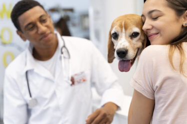 As decisões diárias dos tutores têm um impacto significativo na expectativa de vida e no bem-estar dos pets.
