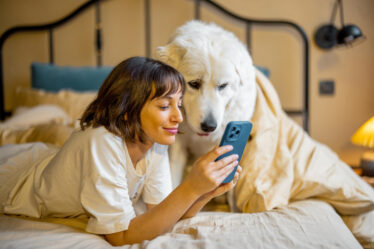 Excesso de Telas: Como Afeta a Relação com Pets
