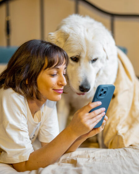 Excesso de Telas: Como Afeta a Relação com Pets