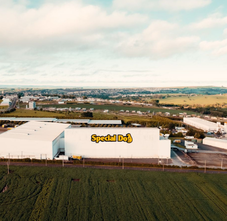 A Special Dog Company alcançou um impressionante índice de 99,98% de desvio de resíduos
